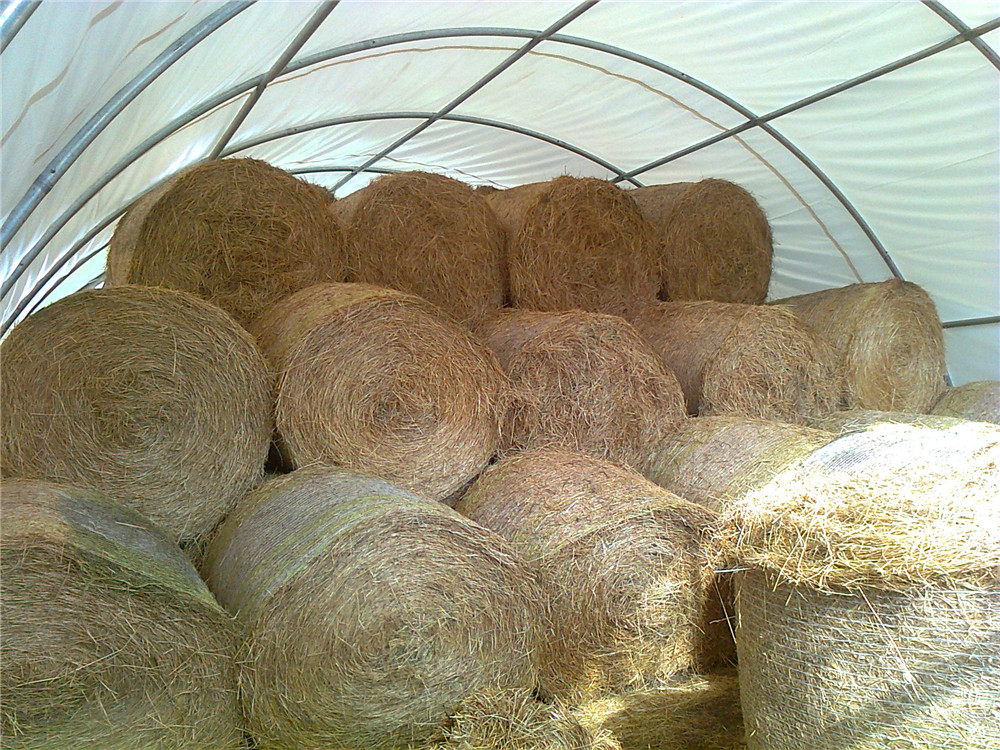 dome storage shelter